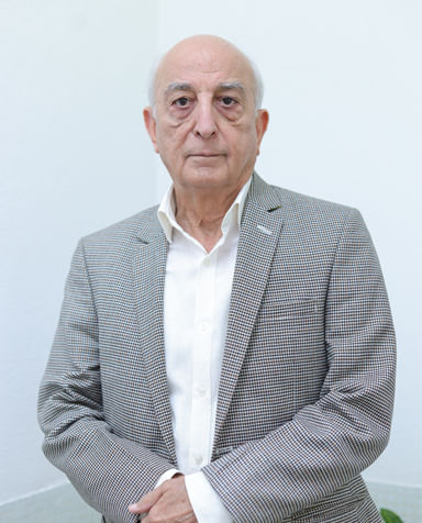 Society Vice Chairman