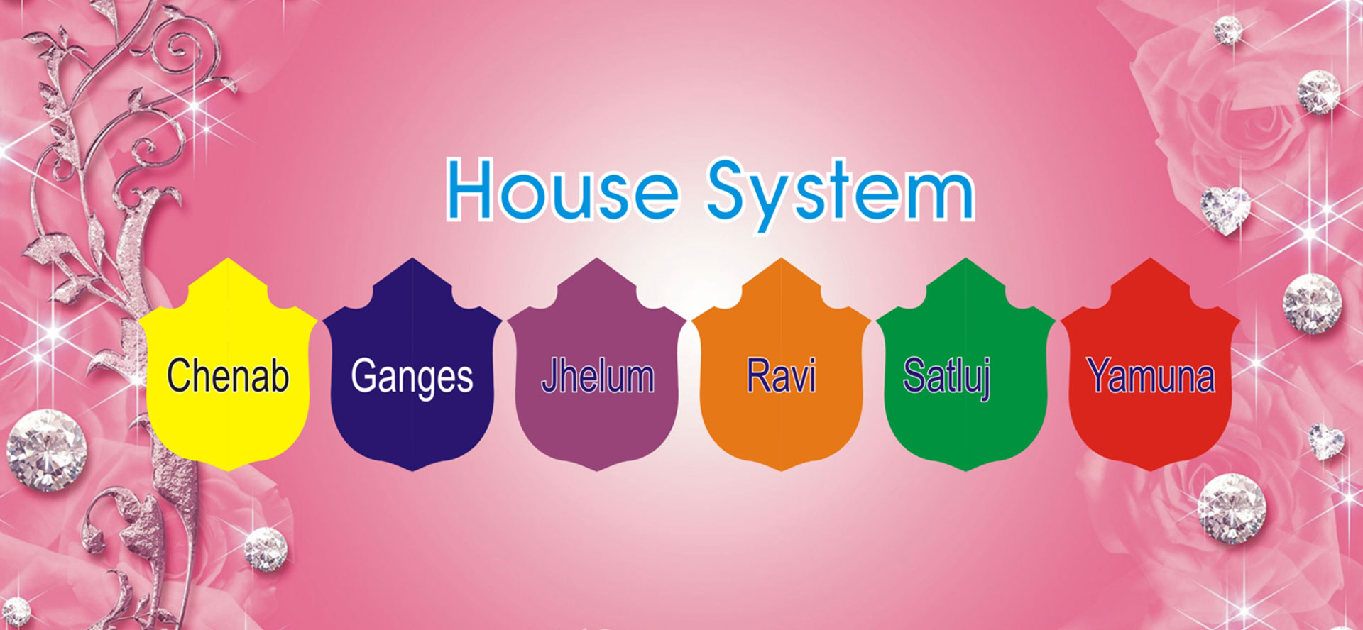 house-system-delhi-public-school-bulandshahr